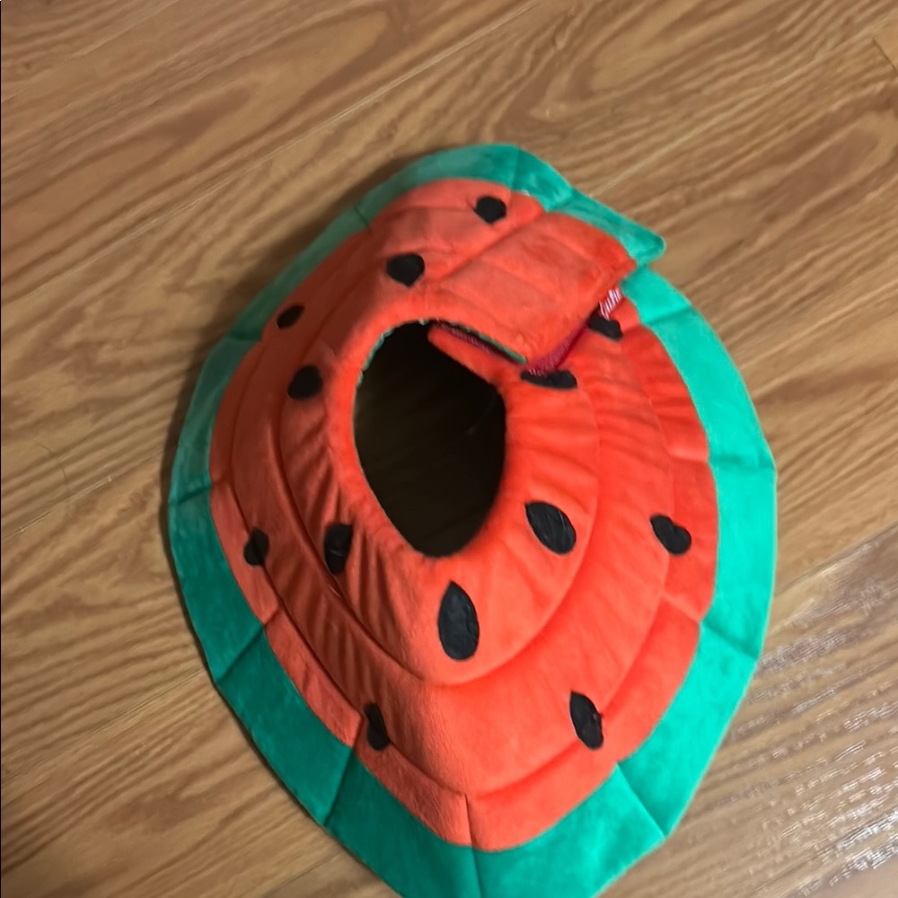 Watermelon Pet Costume
